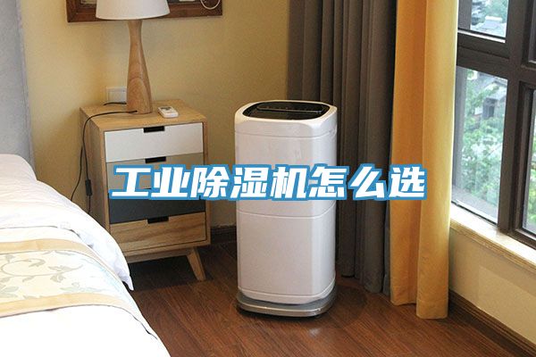 工業91看片软件大全怎麽選