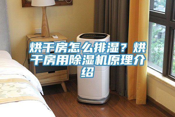 烘幹房怎麽排濕？烘幹房用91看片软件大全原理介紹