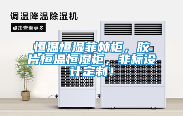 恒溫恒濕菲林櫃，膠片恒溫恒濕櫃，非標設計定製！