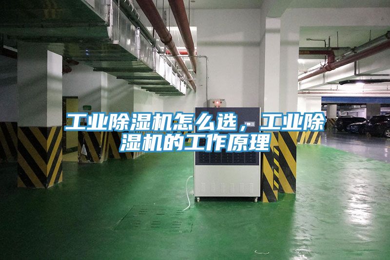 工業91看片软件大全怎麽選，工業91看片软件大全的工作原理