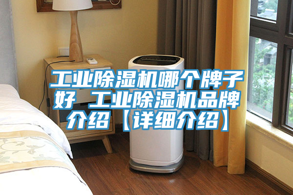 工業91看片软件大全哪個牌子好 工業91看片软件大全品牌介紹【詳細介紹】