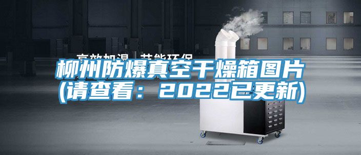 柳州防爆真空幹燥箱圖片(請查看：2022已更新)
