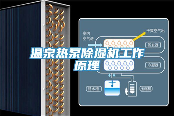 溫泉熱泵91看片软件大全工作原理