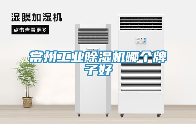 常州工業91看片软件大全哪個牌子好