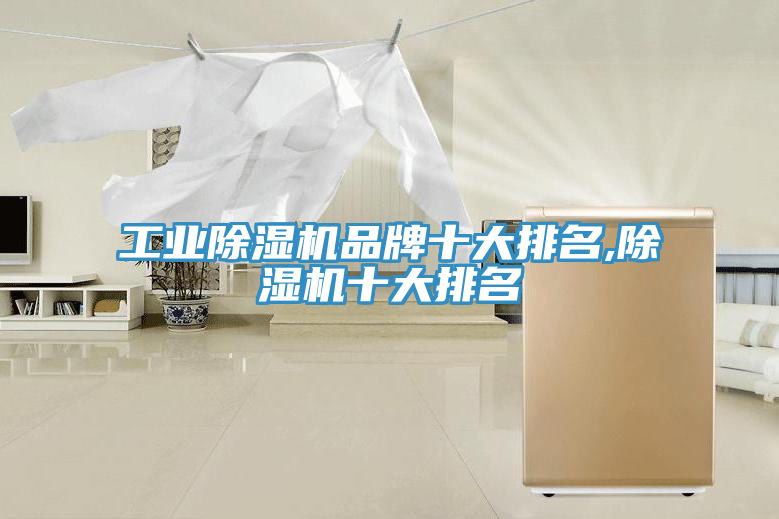 工業91看片软件大全品牌十大排名,91看片软件大全十大排名
