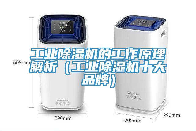 工業91看片软件大全的工作原理解析（工業91看片软件大全十大品牌）