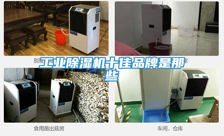 工業91看片软件大全十佳品牌是那些