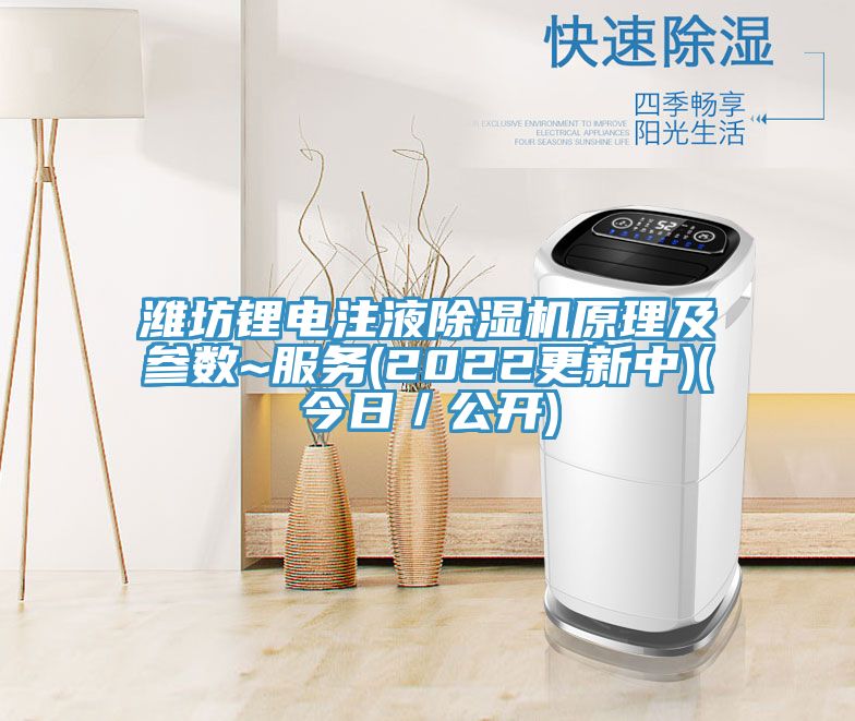 濰坊鋰電注液91看片软件大全原理及參數~服務(2022更新中)(今日／公開)