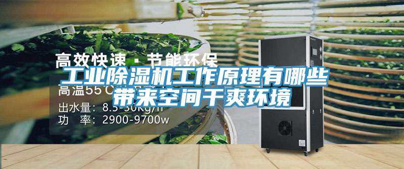 工業91看片软件大全工作原理有哪些 帶來空間幹爽環境