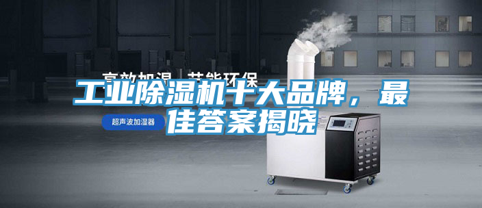工業91看片软件大全十大品牌，最佳答案揭曉