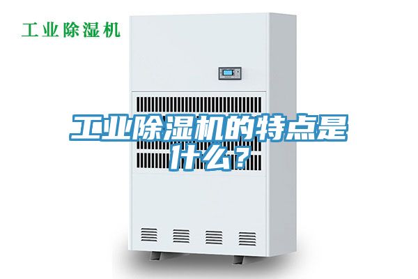 工業91看片软件大全的特點是什麽？