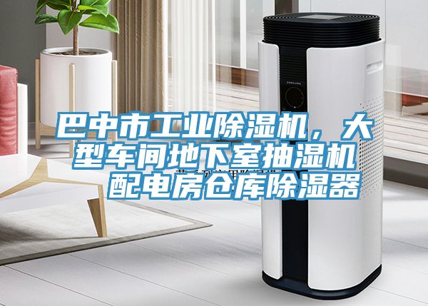 巴中市工業91看片软件大全，大型車間地下室抽濕機  配電房倉庫除濕器