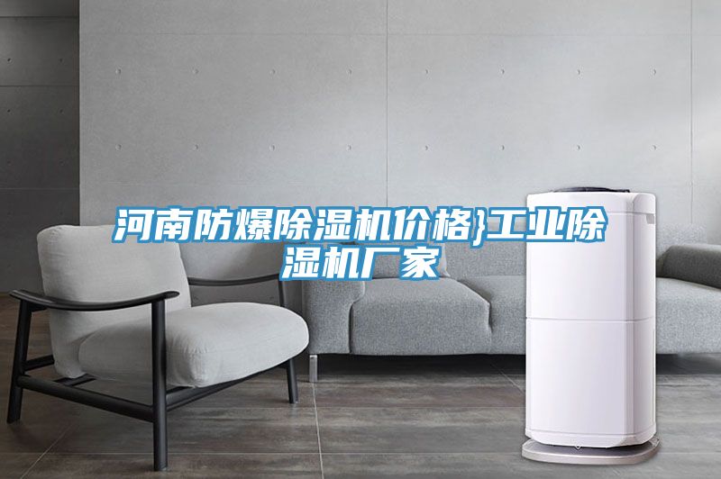 河南防爆91看片软件大全價格}工業91看片软件大全廠家