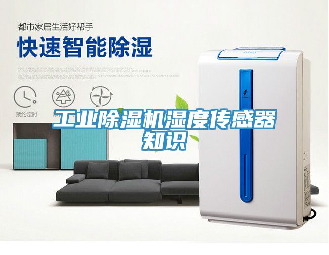工業91看片软件大全濕度傳感器知識