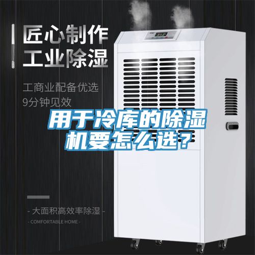用於冷庫的91看片软件大全要怎麽選？