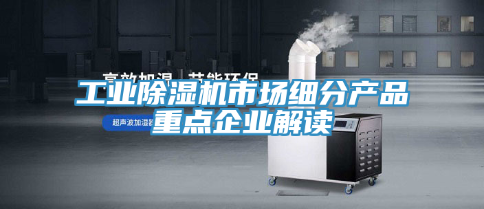 工業91看片软件大全市場細分產品重點企業解讀