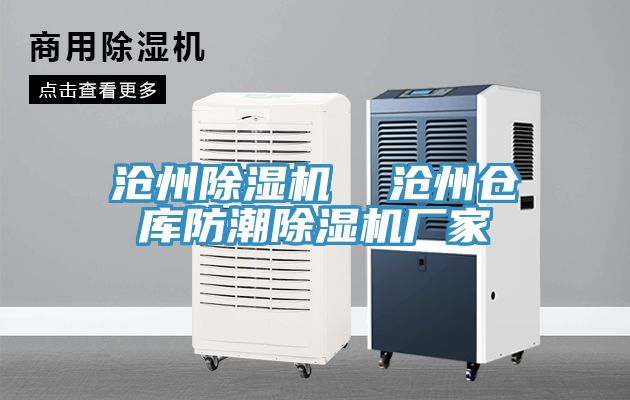 滄州91看片软件大全  滄州倉庫防潮91看片软件大全廠家