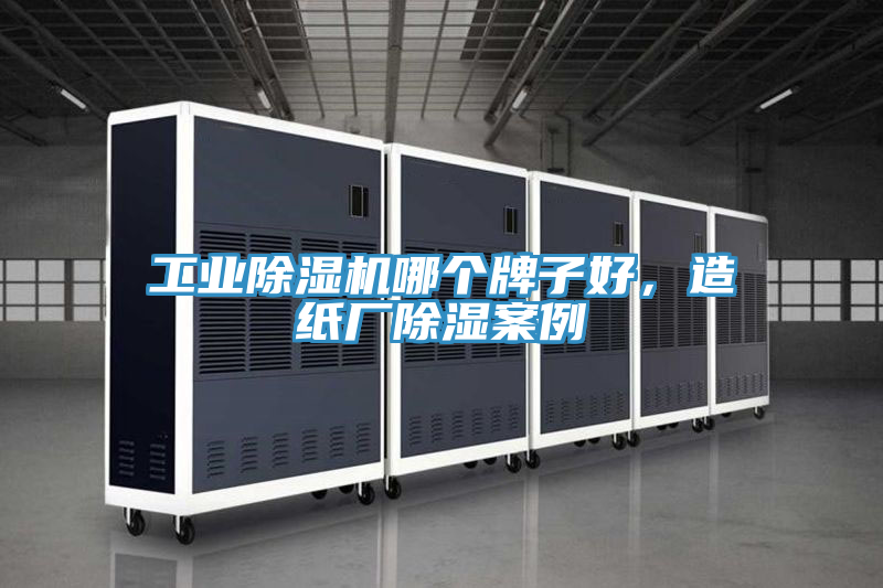 工業91看片软件大全哪個牌子好，造紙廠除濕案例