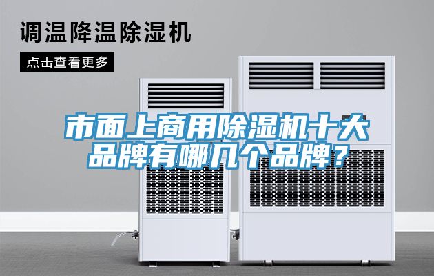 市麵上商用91看片软件大全十大品牌有哪幾個品牌？