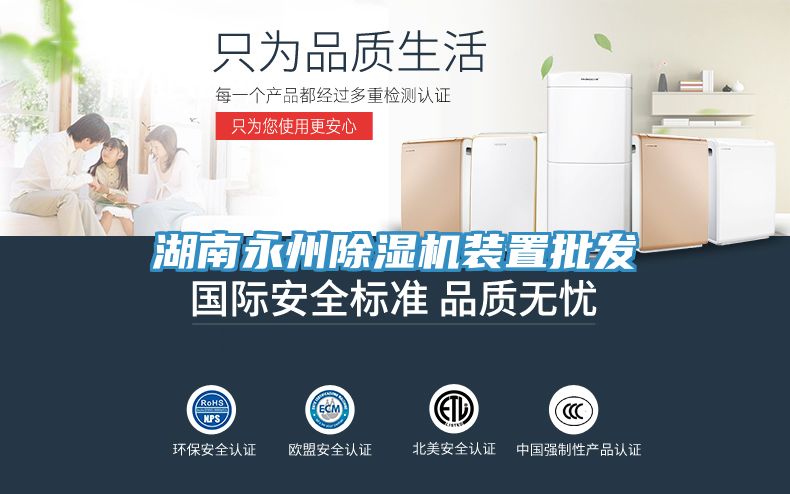 湖南永州91看片软件大全裝置批發