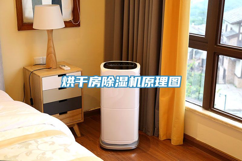 烘幹房91看片软件大全原理圖