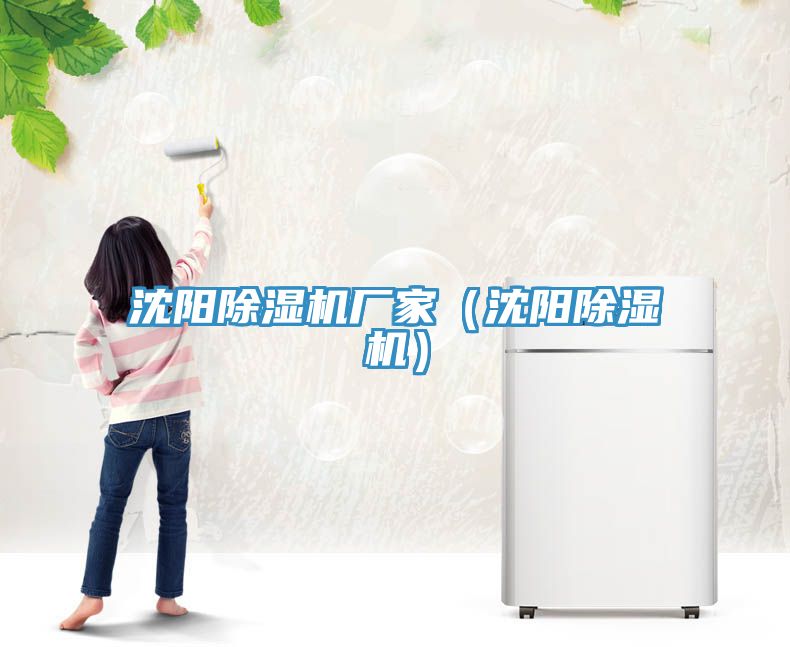 沈陽91看片软件大全廠家（沈陽91看片软件大全）