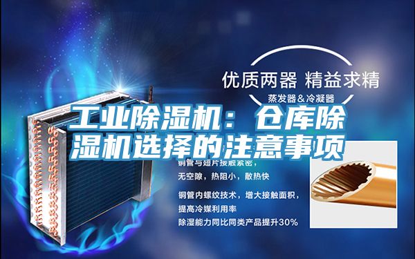 工業91看片软件大全：倉庫91看片软件大全選擇的注意事項