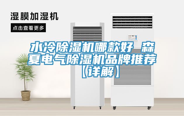 水冷91看片软件大全哪款好 森夏電氣91看片软件大全品牌推薦【詳解】