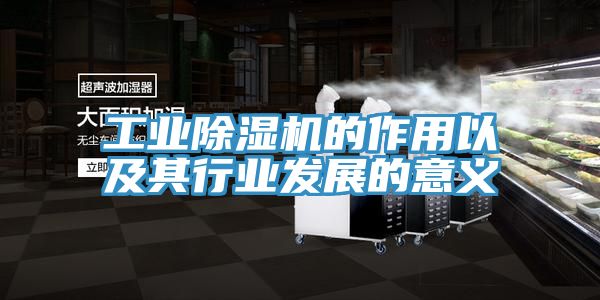 工業91看片软件大全的作用以及其行業發展的意義