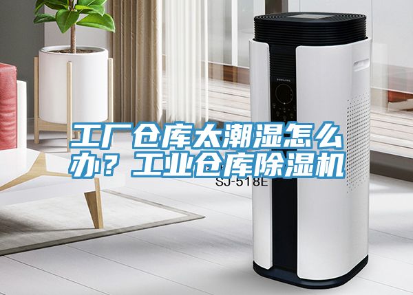 工廠倉庫太潮濕怎麽辦？工業倉庫91看片软件大全