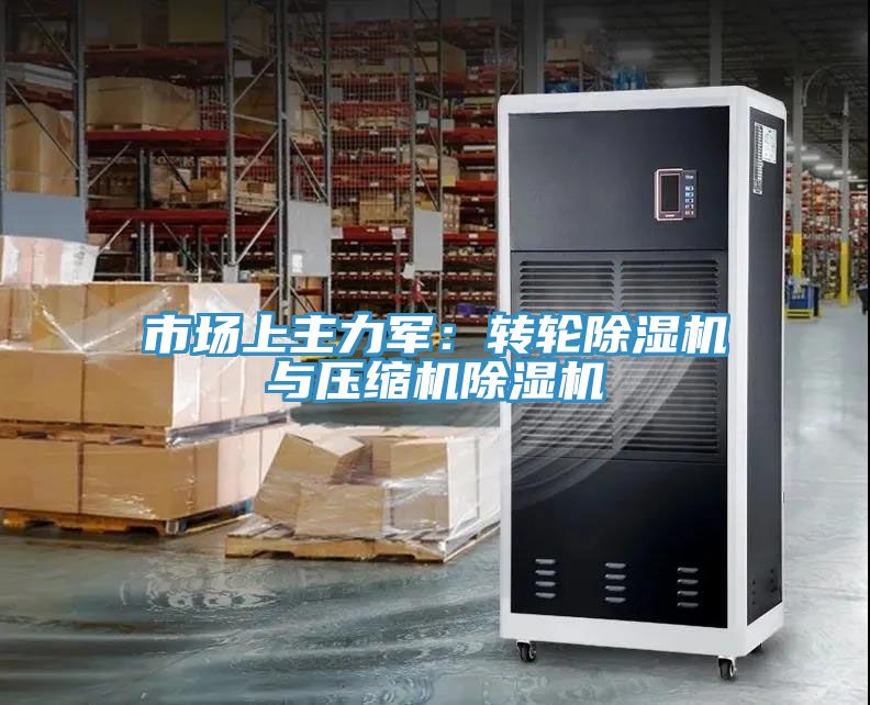 市場上主力軍：轉輪91看片软件大全與壓縮機91看片软件大全