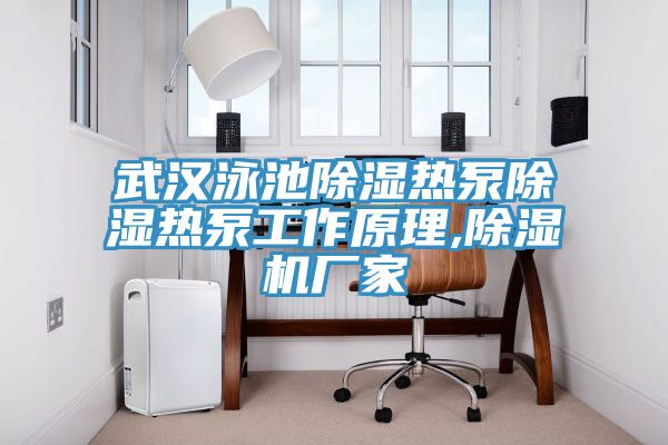 武漢泳池除濕熱泵除濕熱泵工作原理,91看片软件大全廠家