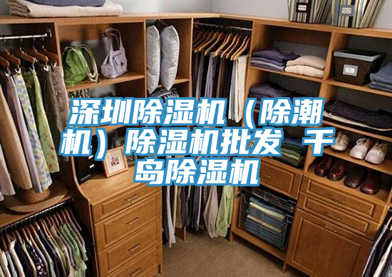 深圳91看片软件大全（除潮機）91看片软件大全批發 千島91看片软件大全