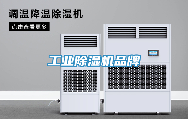 工業91看片软件大全品牌