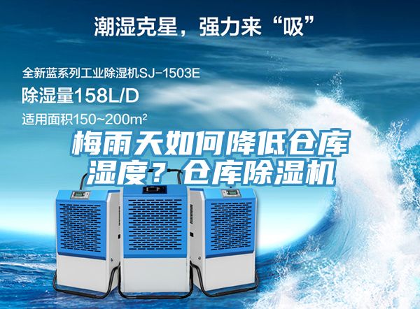梅雨天如何降低倉庫濕度？倉庫91看片软件大全