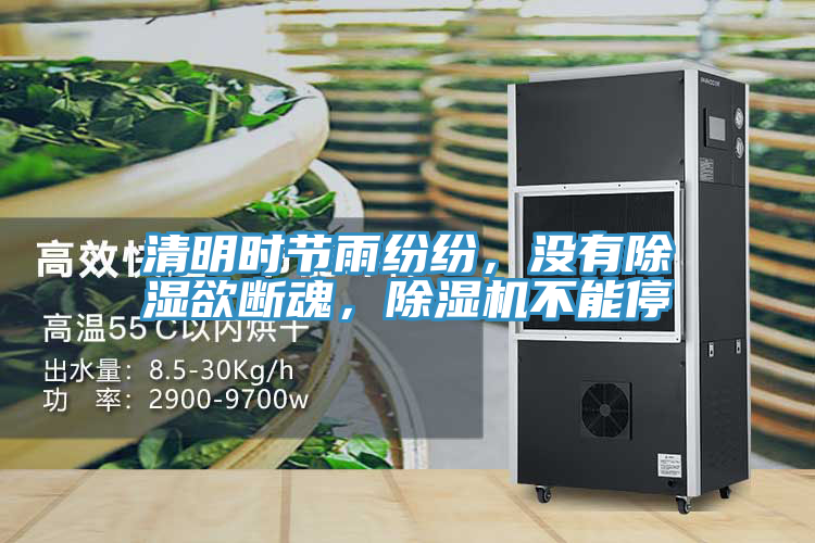 清明時節雨紛紛，沒有除濕欲斷魂，91看片软件大全不能停