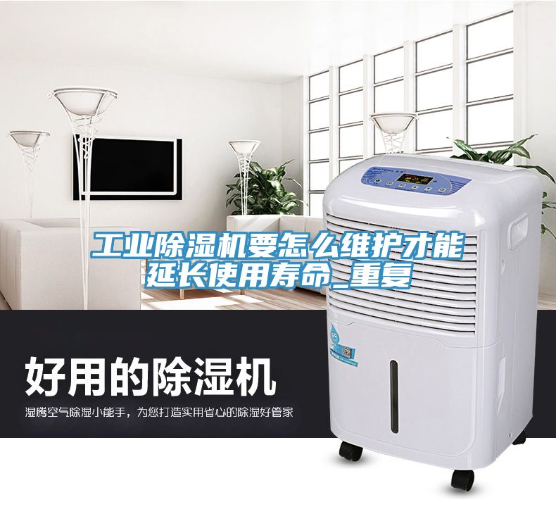 工業91看片软件大全要怎麽維護才能延長使用壽命_重複