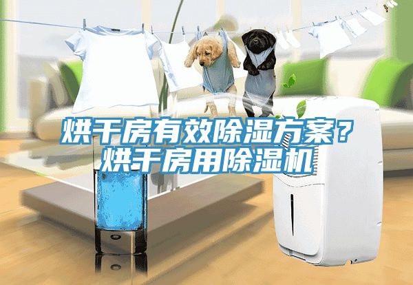 烘幹房有效除濕方案？烘幹房用91看片软件大全