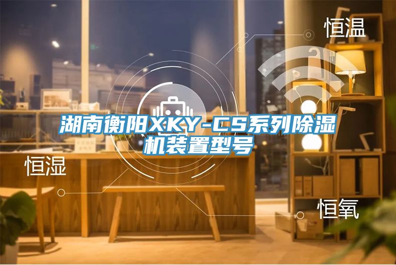 湖南衡陽XKY-CS係列91看片软件大全裝置型號