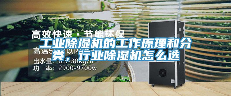 工業91看片软件大全的工作原理和分類，行業91看片软件大全怎麽選
