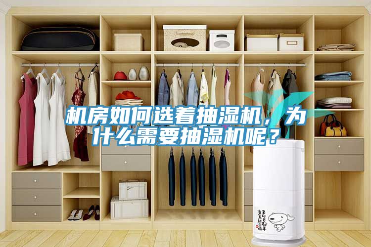 機房如何選著抽濕機，為什麽需要抽濕機呢？