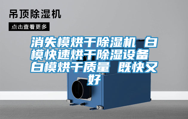 消失模烘幹91看片软件大全 白模快速烘幹除濕設備 白模烘幹質量 既快又好