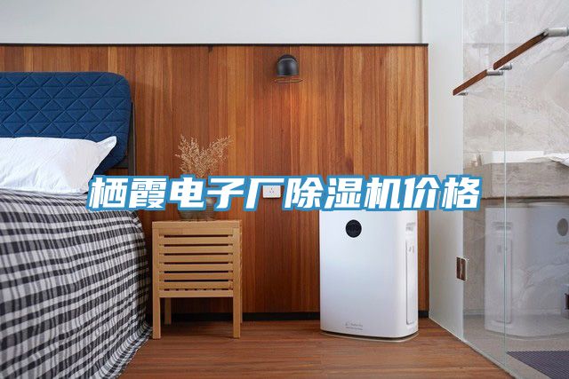 棲霞電子廠91看片软件大全價格