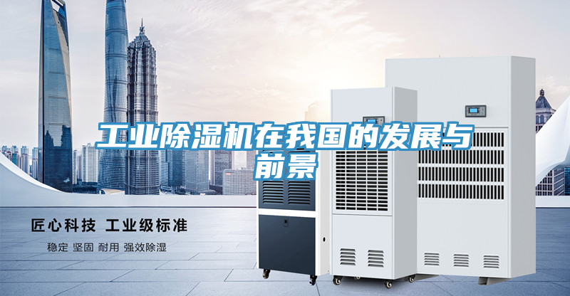工業91看片软件大全在我國的發展與前景