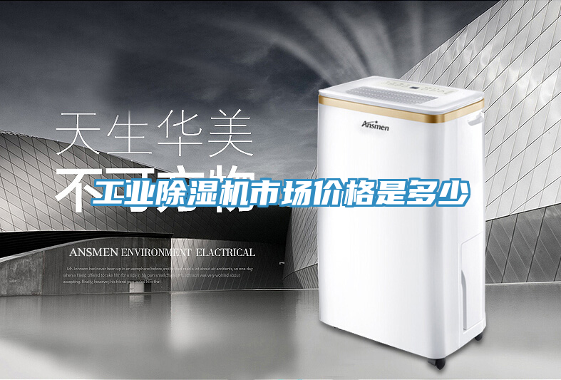 工業91看片软件大全市場價格是多少