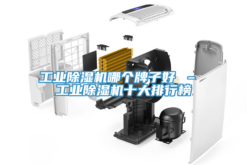工業91看片软件大全哪個牌子好 – 工業91看片软件大全十大排行榜