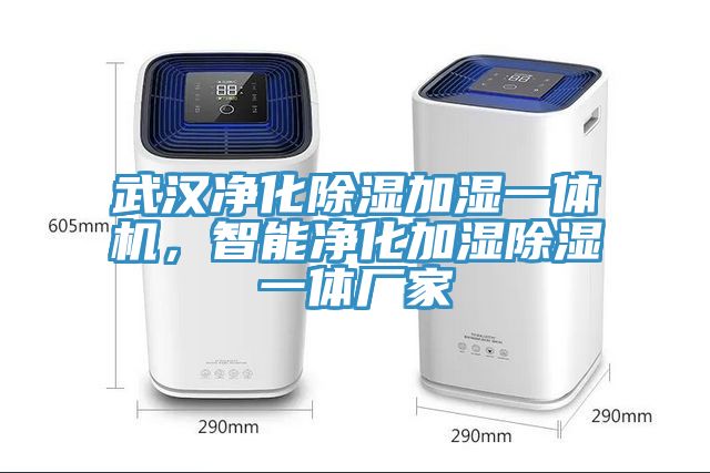 武漢淨化除濕加濕一體機，智能淨化加濕除濕一體廠家