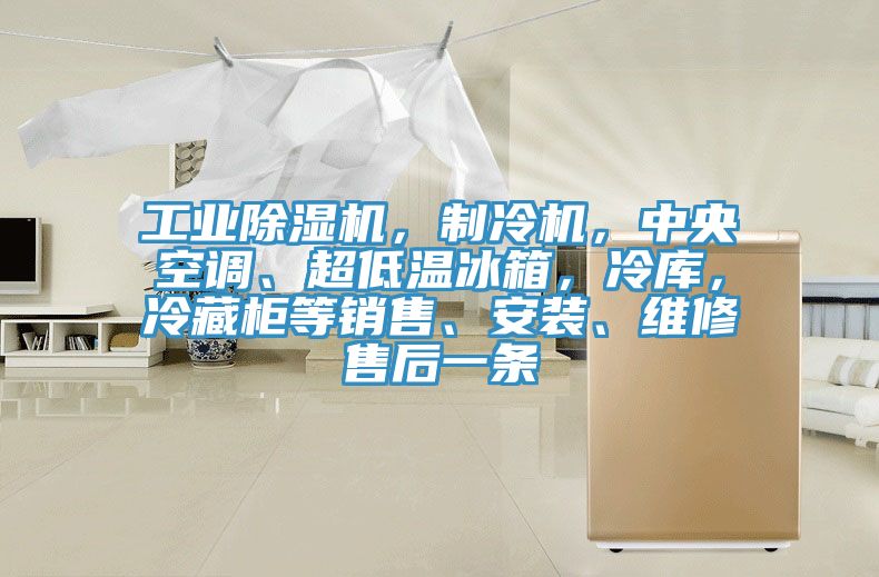 工業91看片软件大全，製冷機，中央空調、超低溫冰箱，冷庫，冷藏櫃等銷售、安裝、維修售後一條