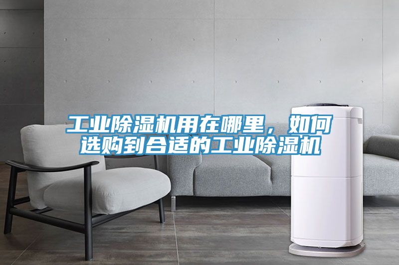 工業91看片软件大全用在哪裏，如何選購到合適的工業91看片软件大全