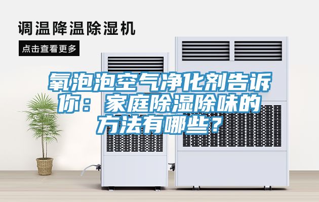 氧泡泡空氣淨化劑告訴你：家庭除濕除味的方法有哪些？